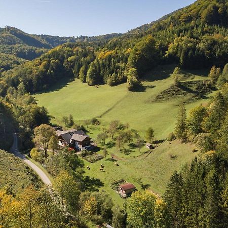 Urlaub Mitten Im Wald - Lueg Scheibbs Zewnętrze zdjęcie