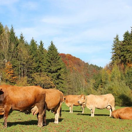 Urlaub Mitten Im Wald - Lueg Scheibbs Zewnętrze zdjęcie