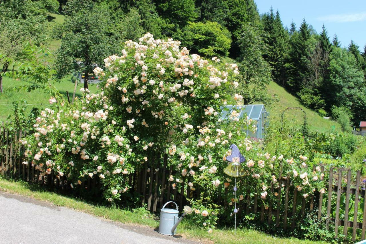 Urlaub Mitten Im Wald - Lueg Scheibbs Zewnętrze zdjęcie