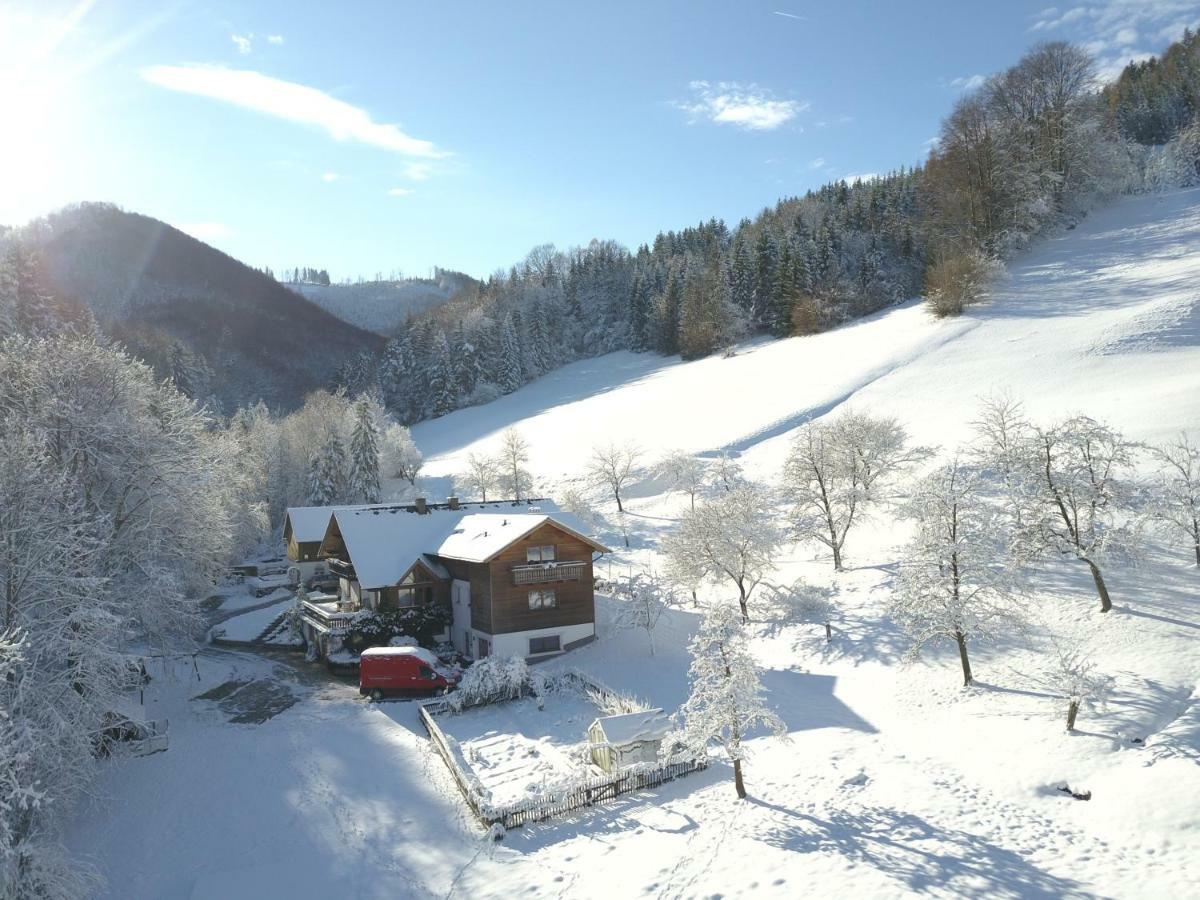 Urlaub Mitten Im Wald - Lueg Scheibbs Zewnętrze zdjęcie