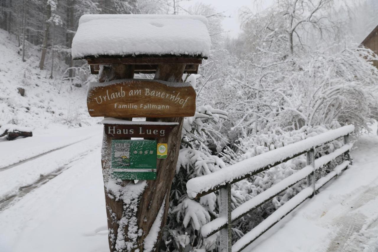 Urlaub Mitten Im Wald - Lueg Scheibbs Zewnętrze zdjęcie
